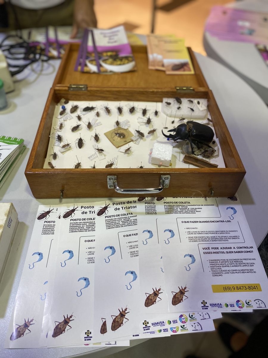 Caso suspeite que encontrou o inseto, não o mate, entre em contato com a DPDZE