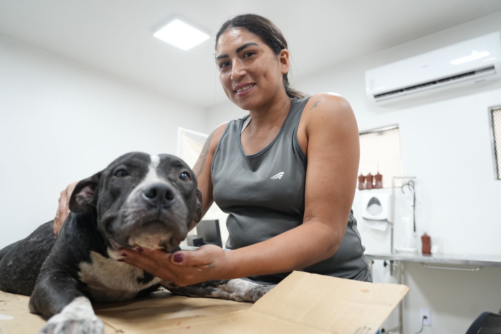 Estamos recebendo atendimento na clínica veterinária da Prefeitura, disse Vitória Roque
